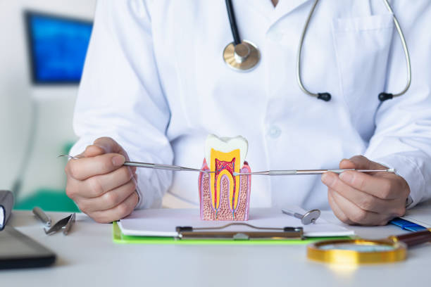 Best Weekend Emergency Dentist in Lake Wazeecha, WI